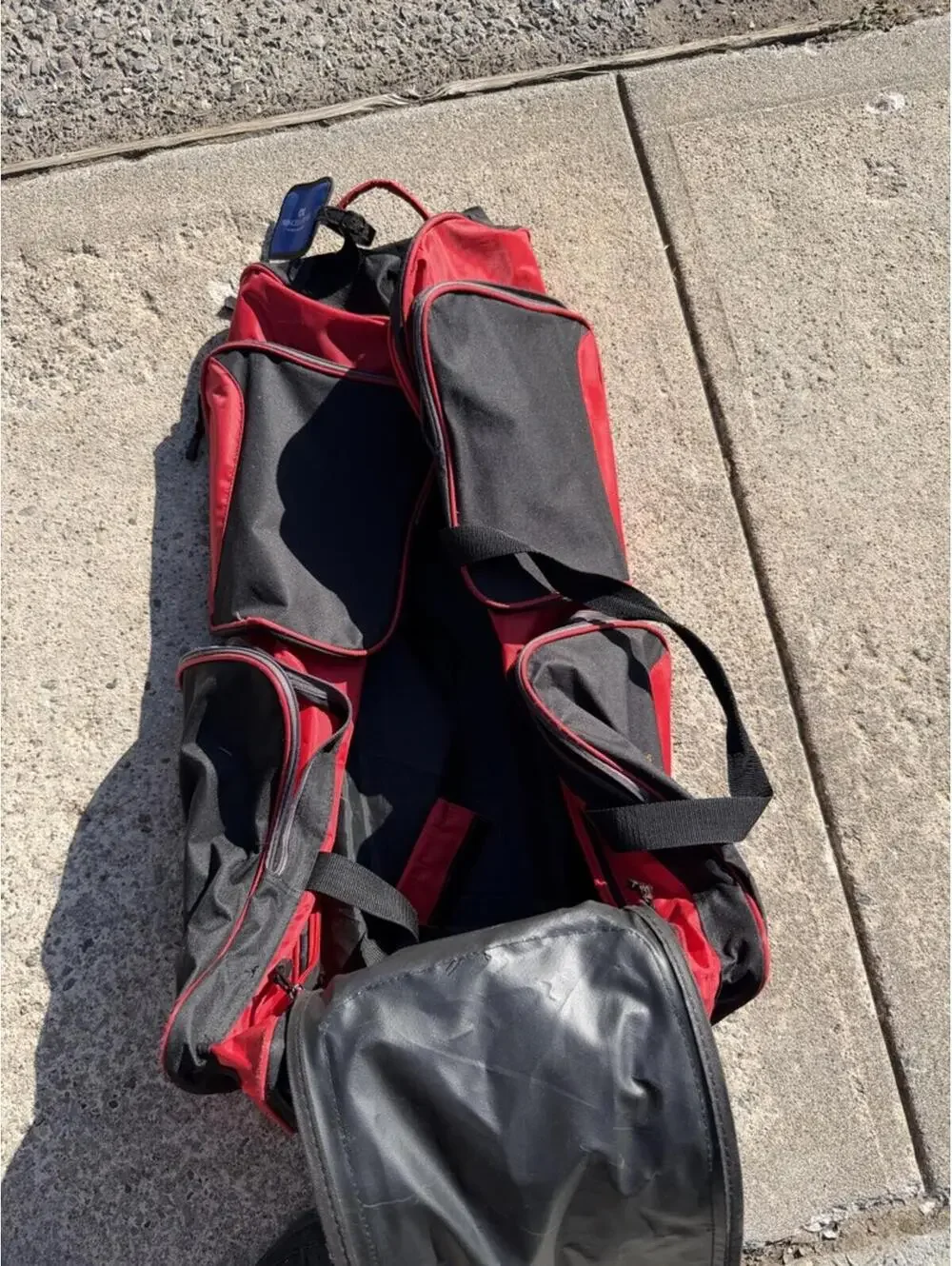 Destinations Black and Red Roller bag Princess Cruises